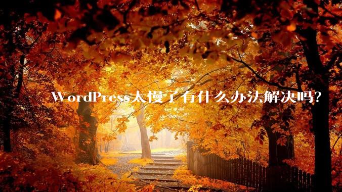 WordPress太慢了有什么办法解决吗？